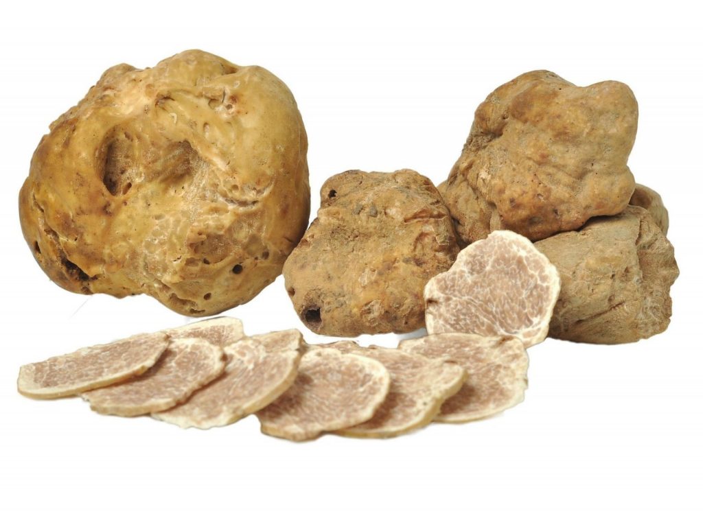 Tuber Magnatum: la fiera del tartufo bianco - Giulianova.it