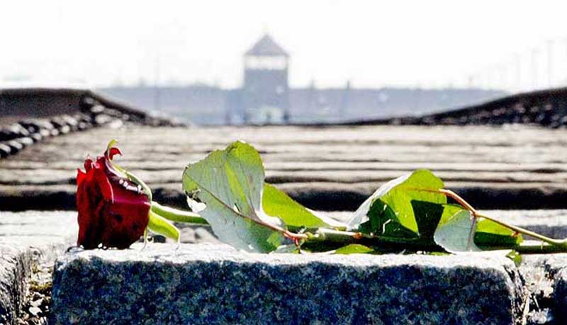 Giornata della Memoria 2019: gli eventi a Giulianova